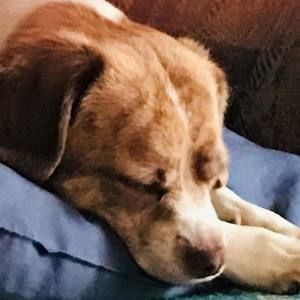 Meet your Posher, Colleen